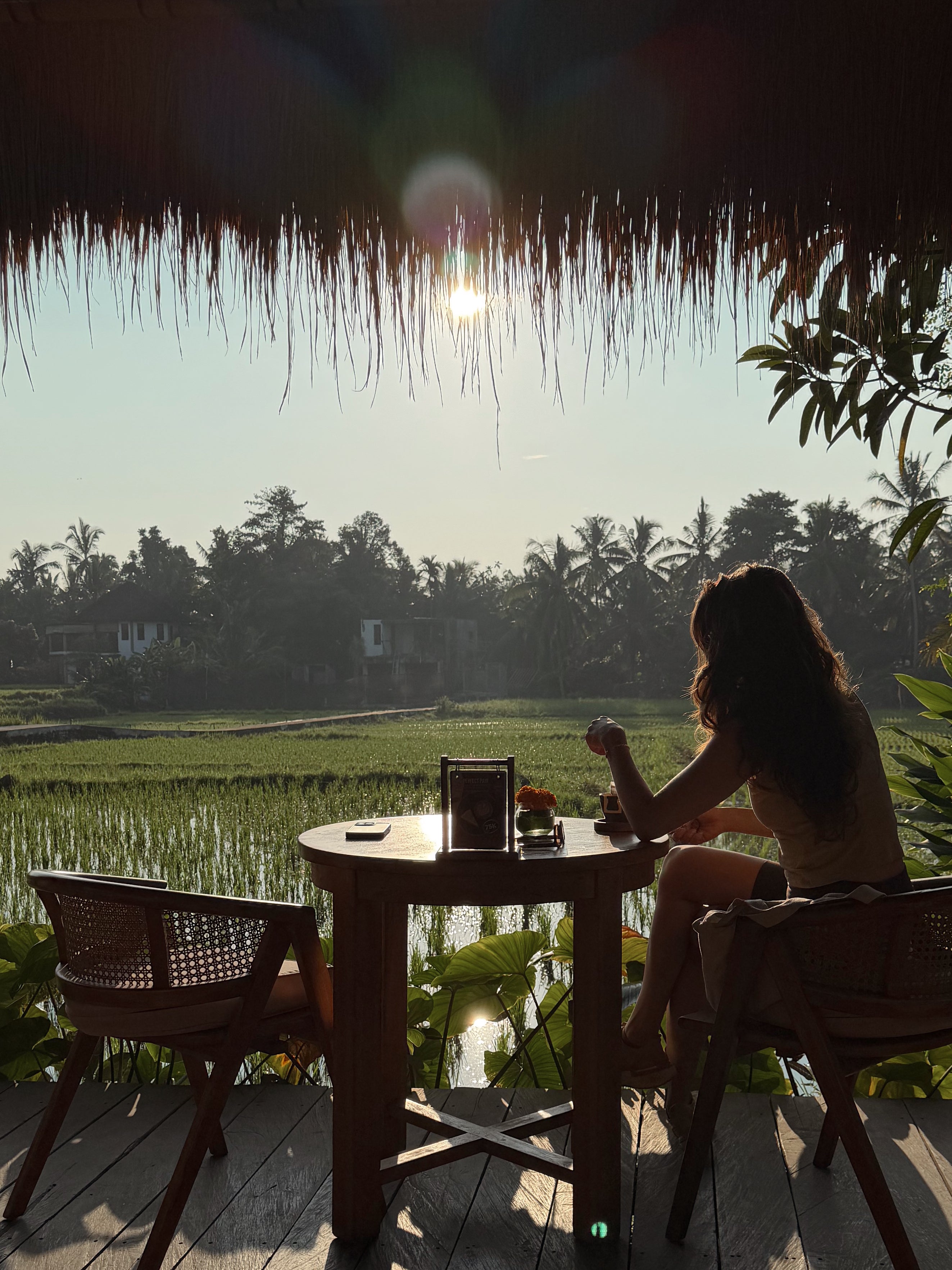 Indonesia 2027 - The Return